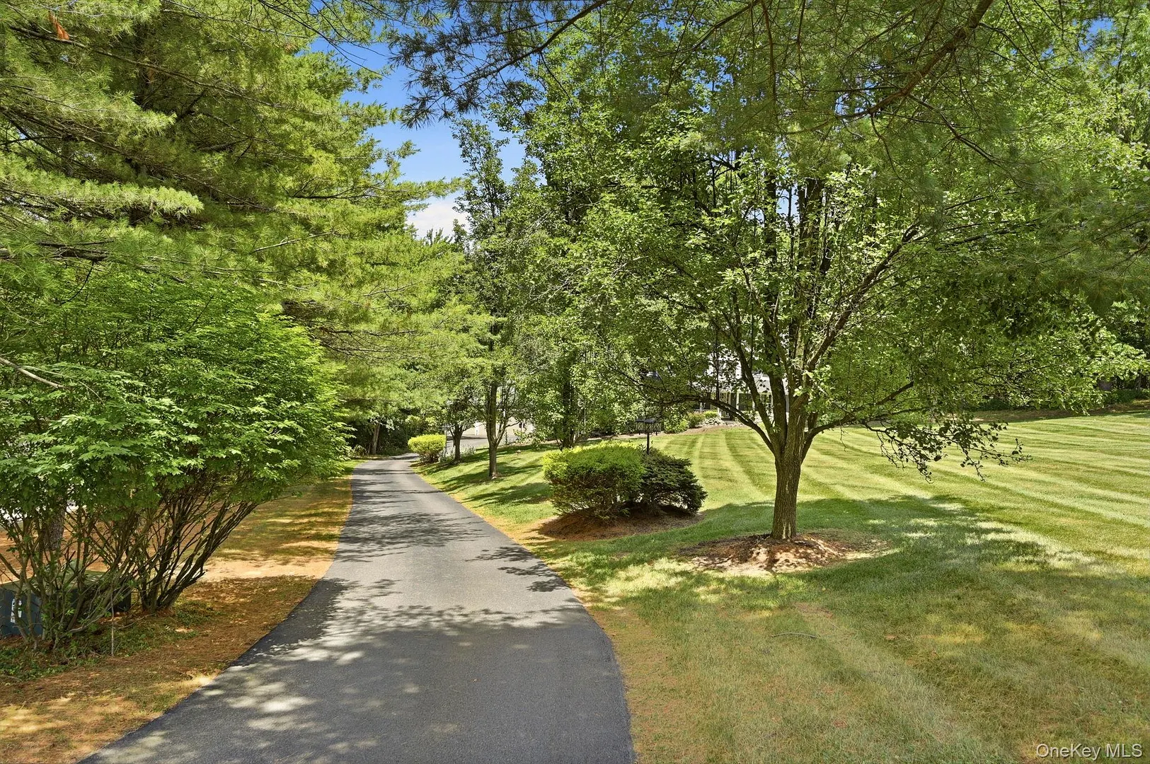 8 Sills Court Photo 33
