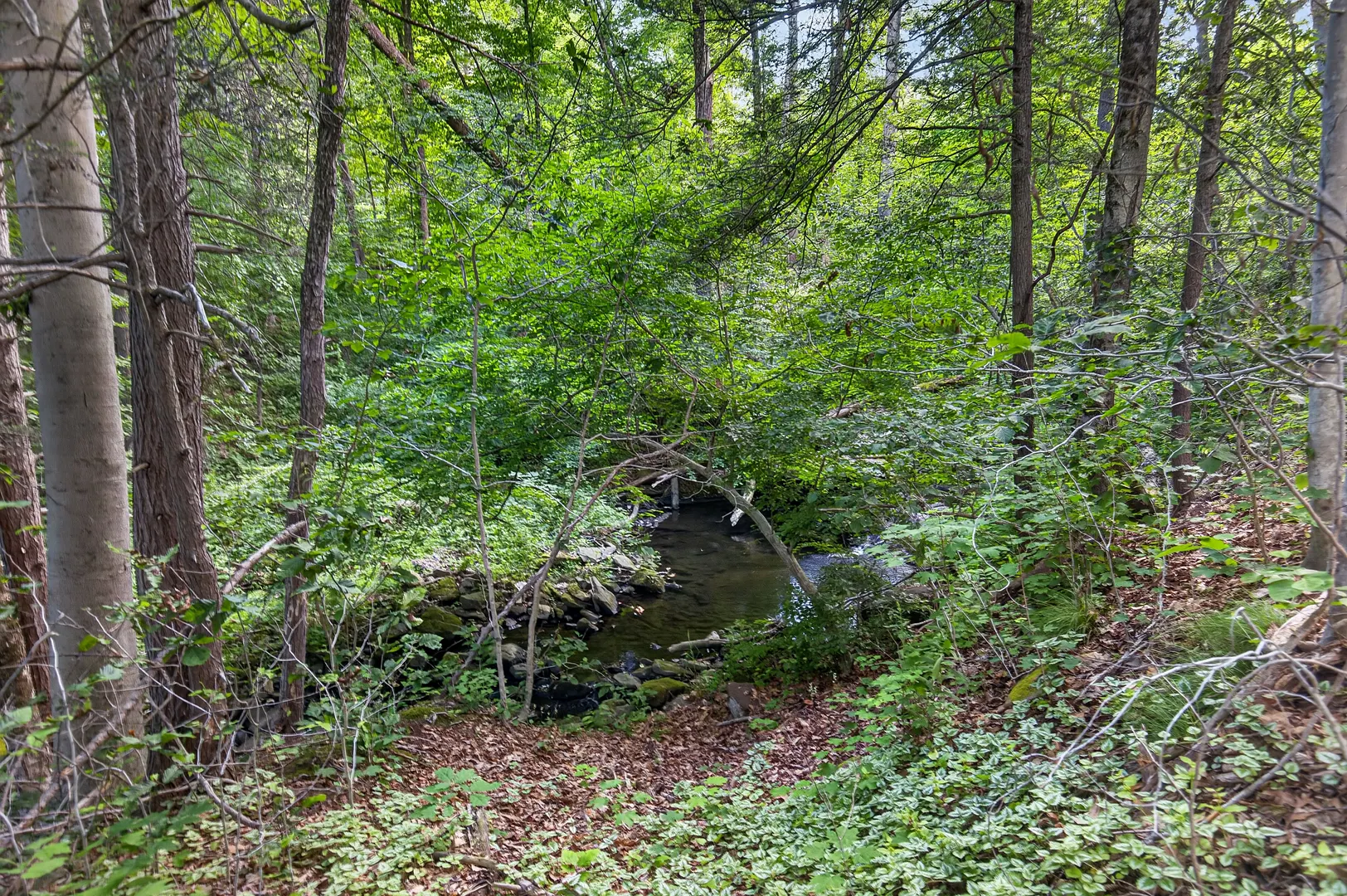 40 Eaton Woods Road #40 Photo 33