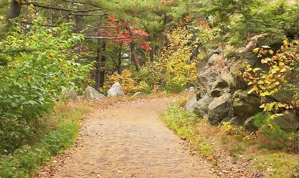 North Branford>