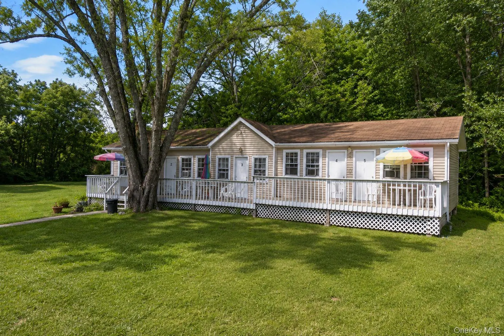 9 Solway Road Photo 11