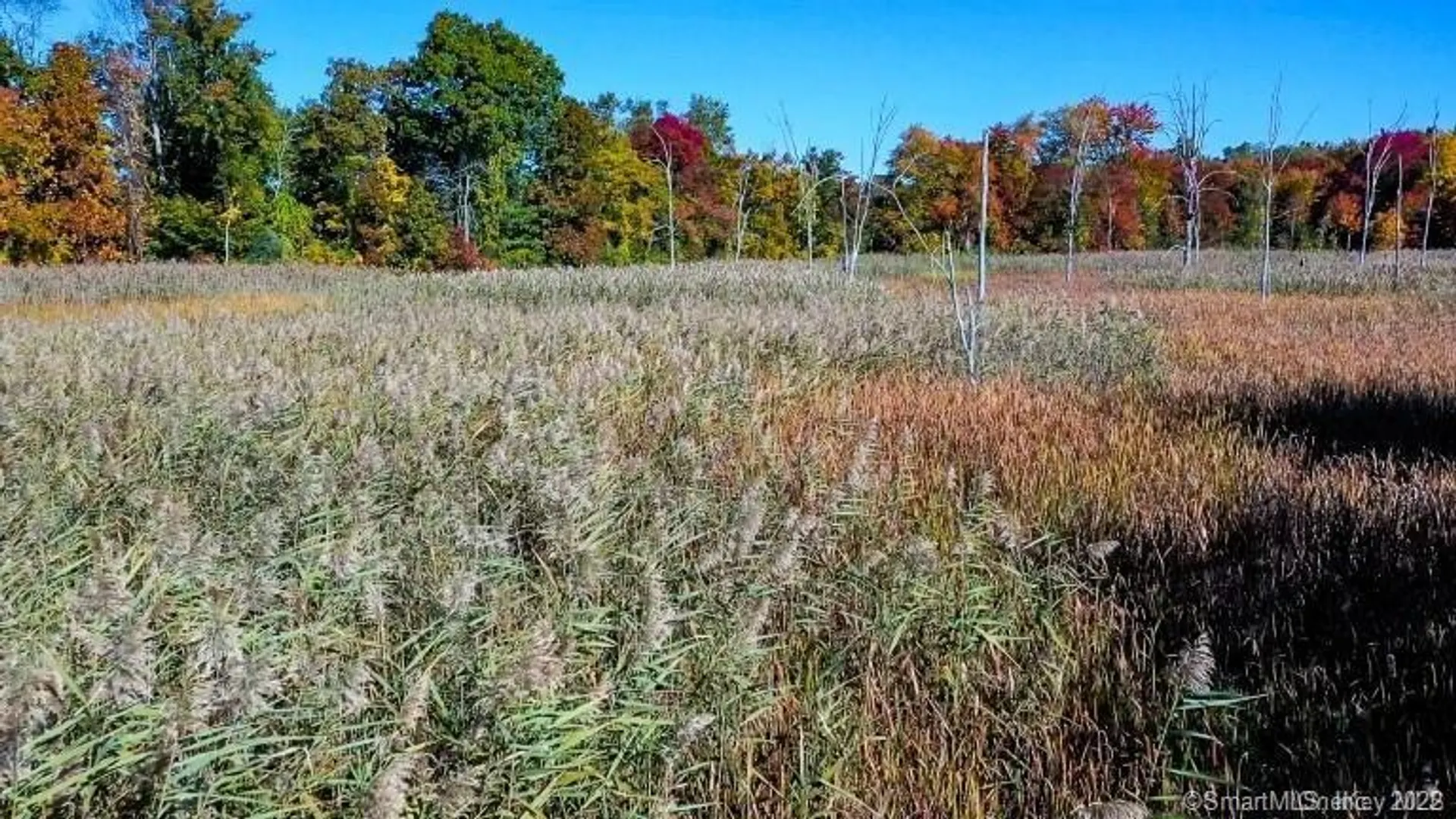 225 Route 22 Photo 6