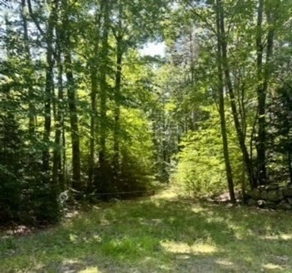 165 Benjamin St Photo 1