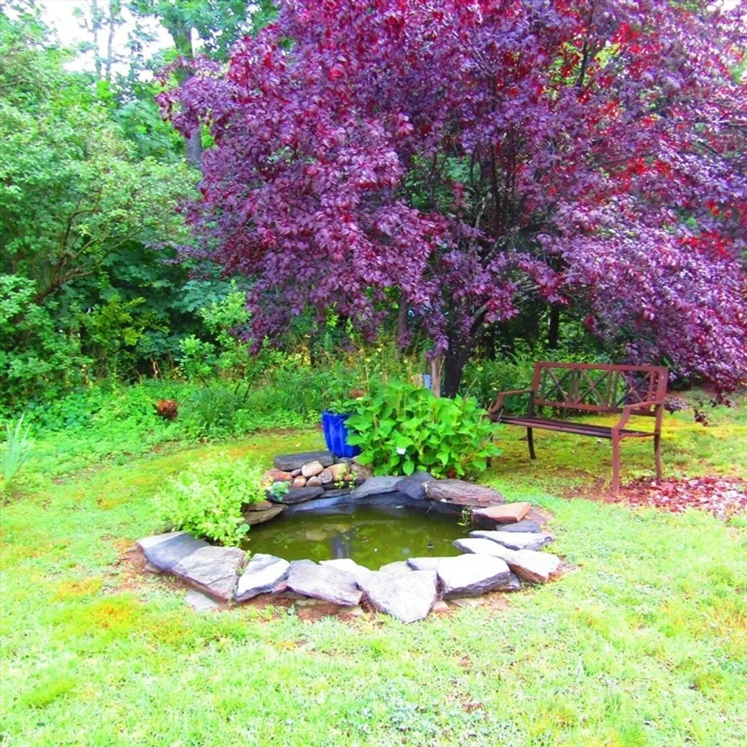 465 Spring Street Photo 28