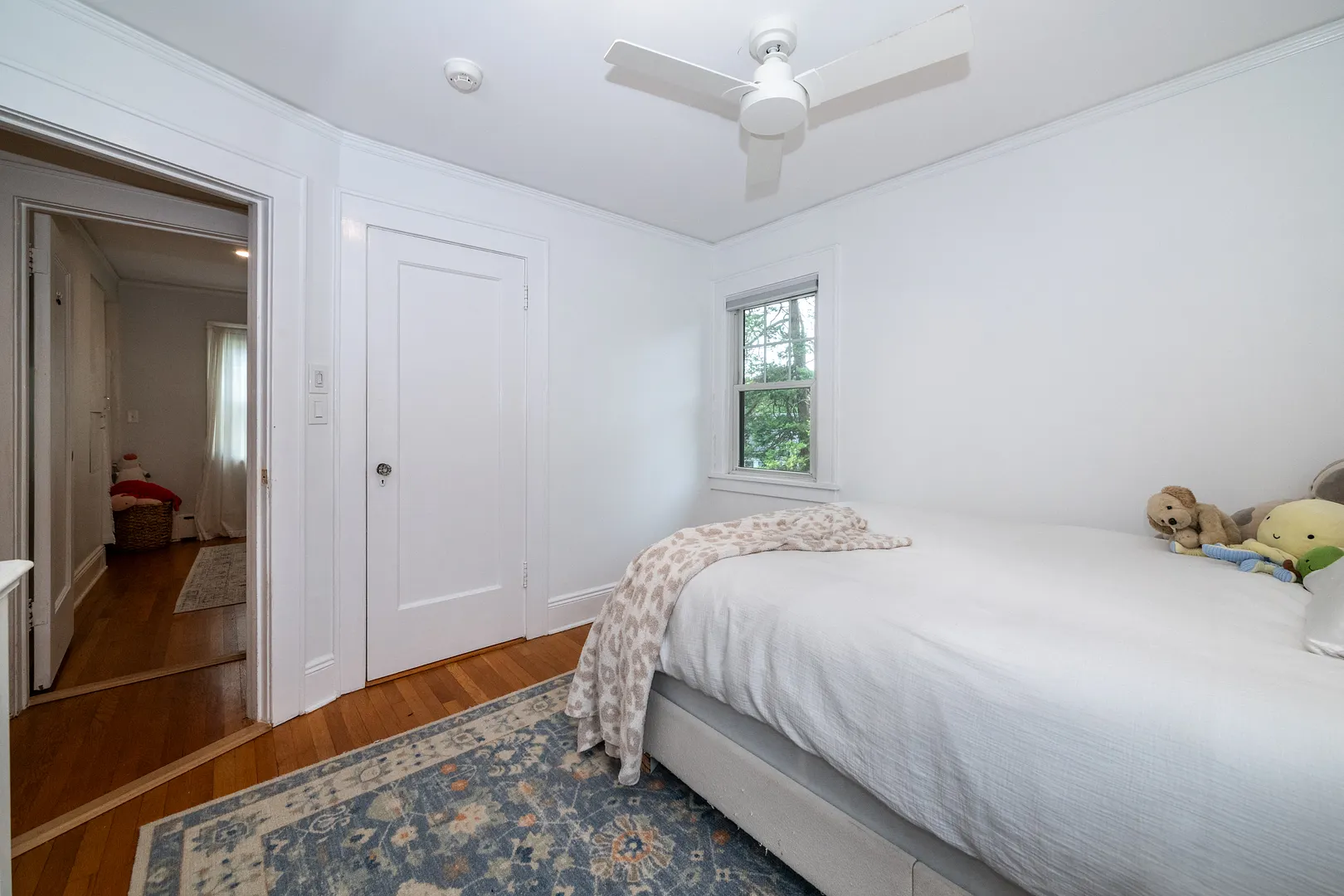 17 Bonnett Avenue Photo 30