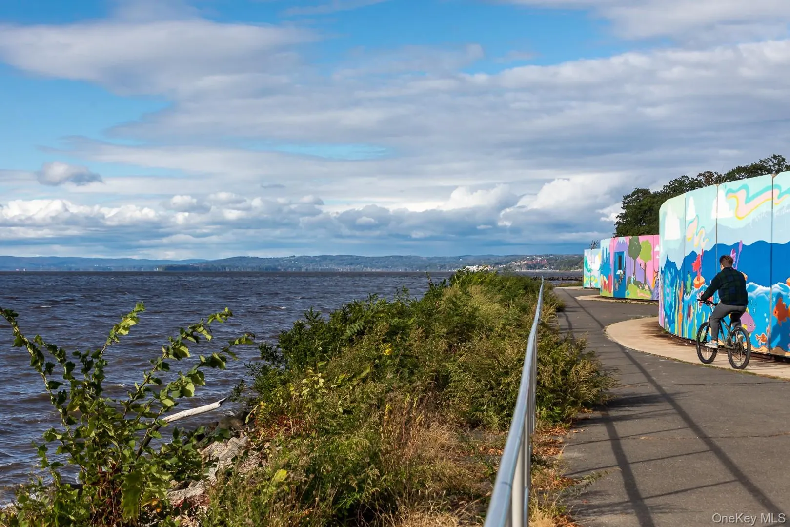 4 Lighthouse Landing  #PH518 Photo 13
