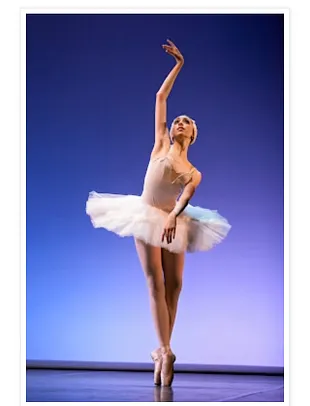 Mary Bozzuti Higgins photo 7