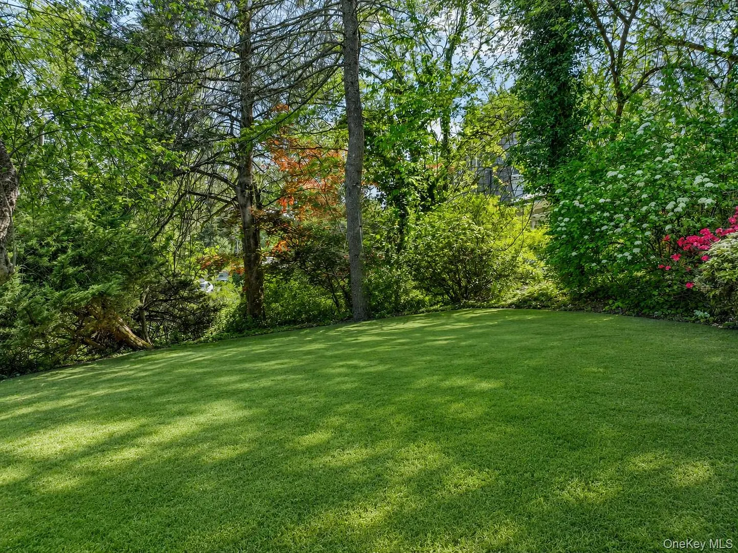 12 Sheldon Street Photo 30