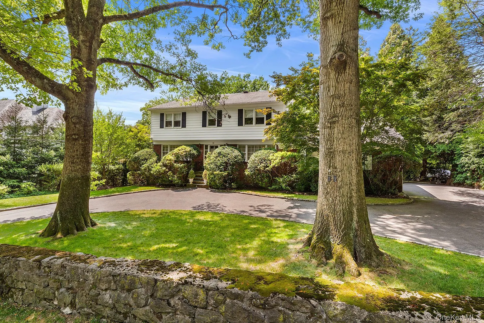 19 Carlton Road Photo 1
