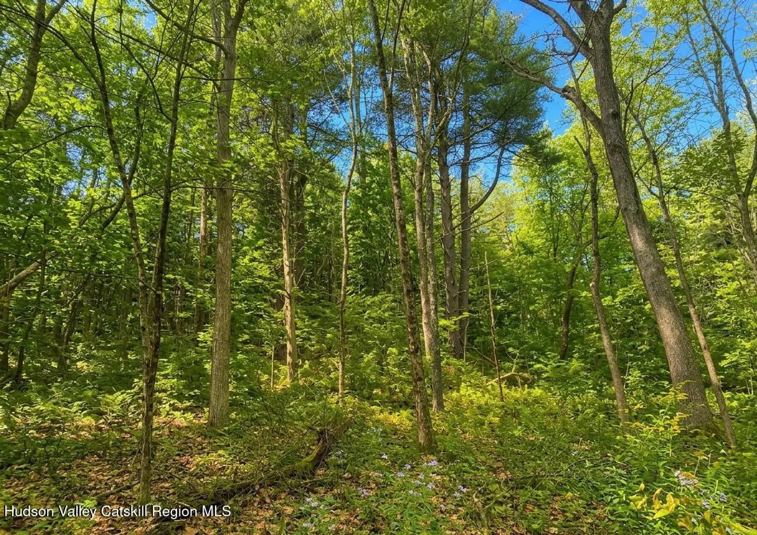 Lot 2 Snydertown Road Photo 9