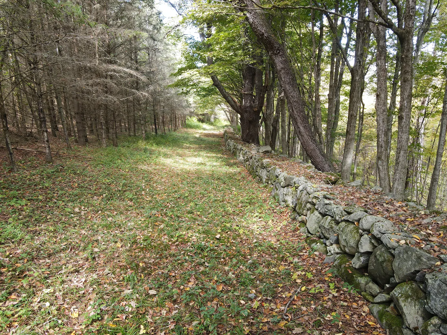77 Deer Hill Road Photo 18