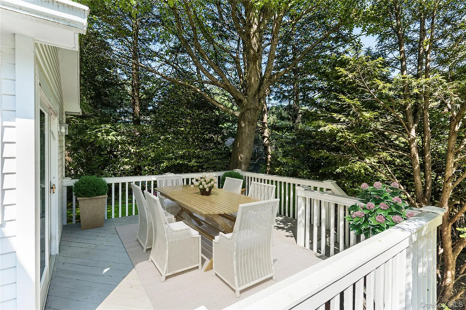 12 Sheldon Street Photo 29