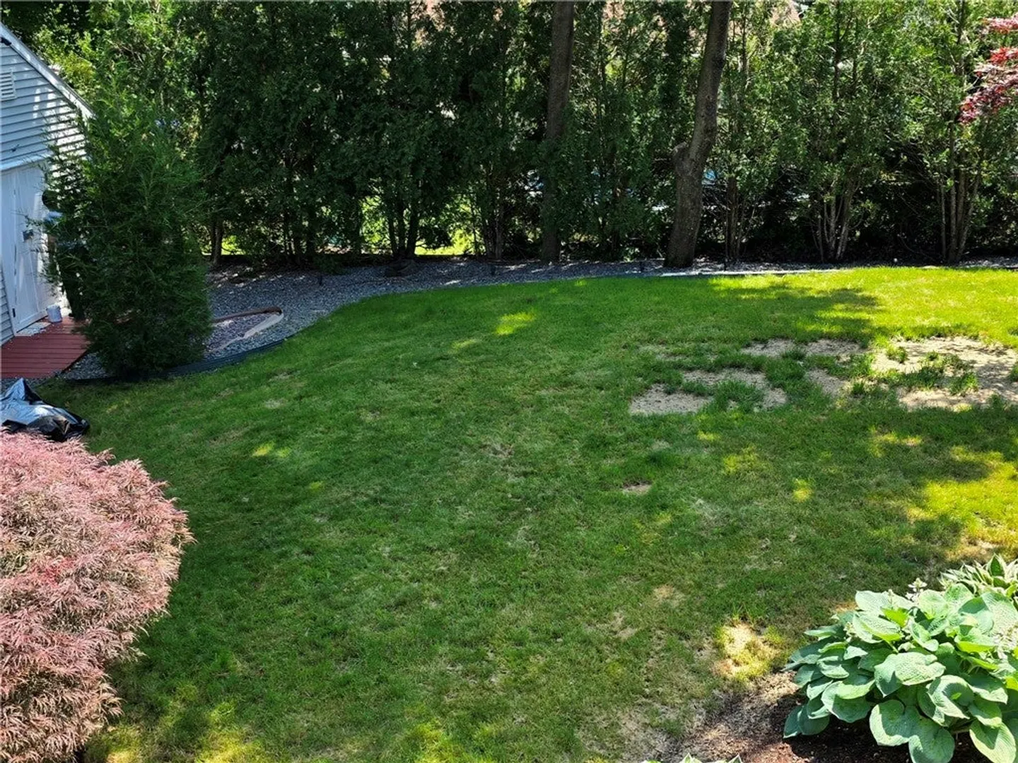 53 Herbert Street Photo 36