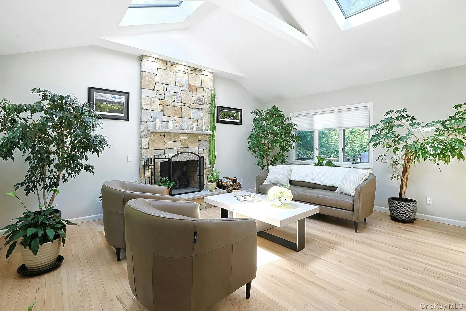 20 Robbins Road Photo 3
