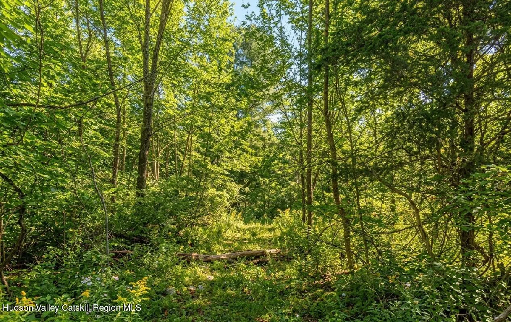 Lot 2 Snydertown Road Photo 8