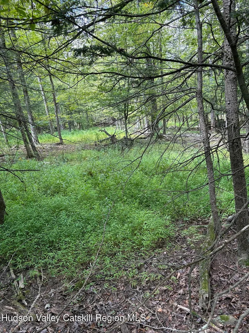Tbd Oak Ridge Road Photo 3