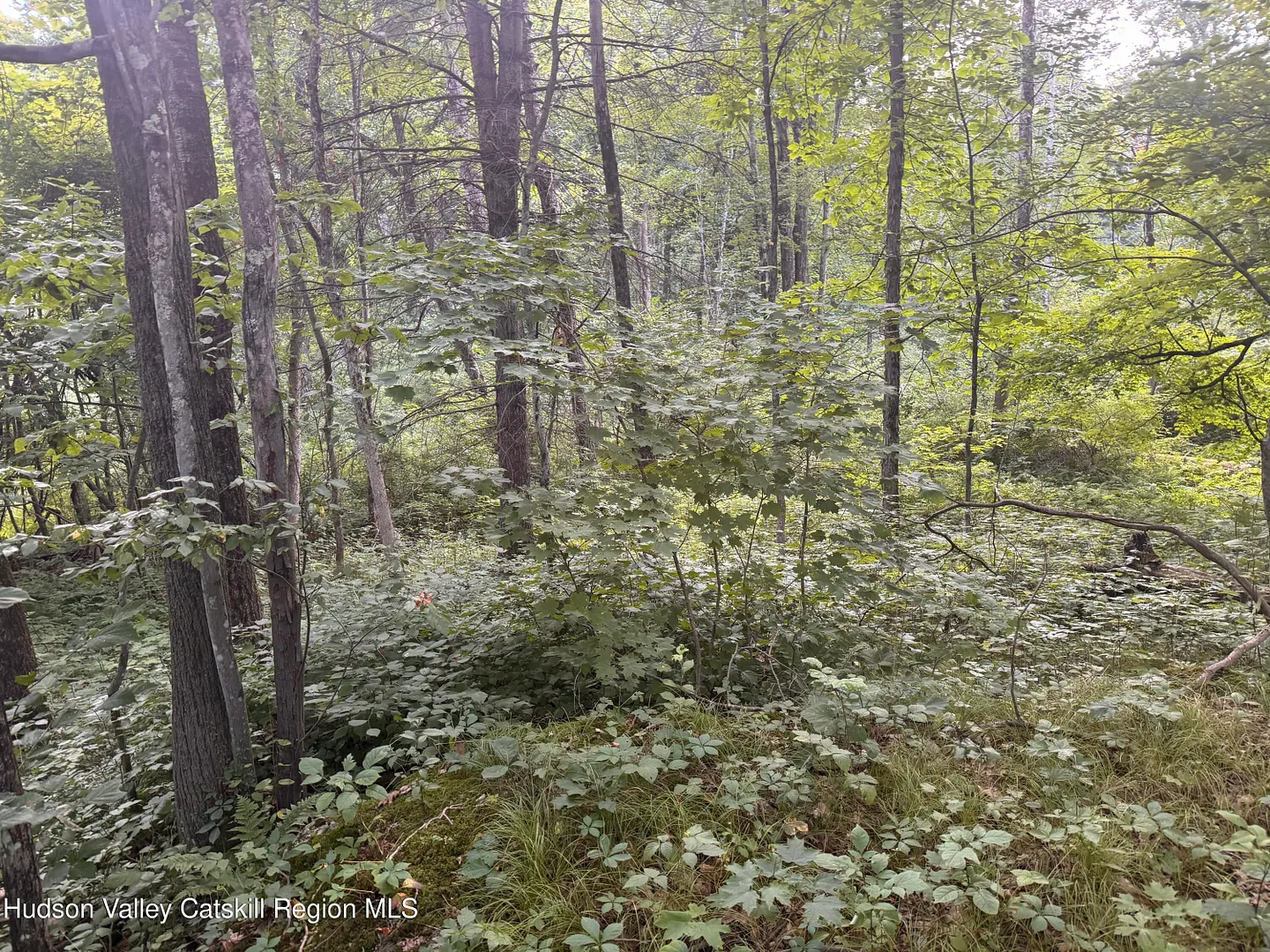 Lot 2 Snydertown Road Photo 18