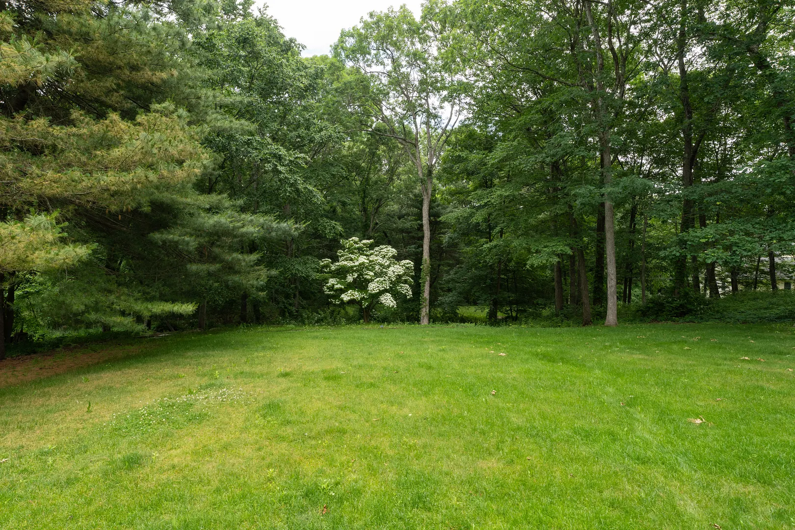 32 Staba Drive Photo 6