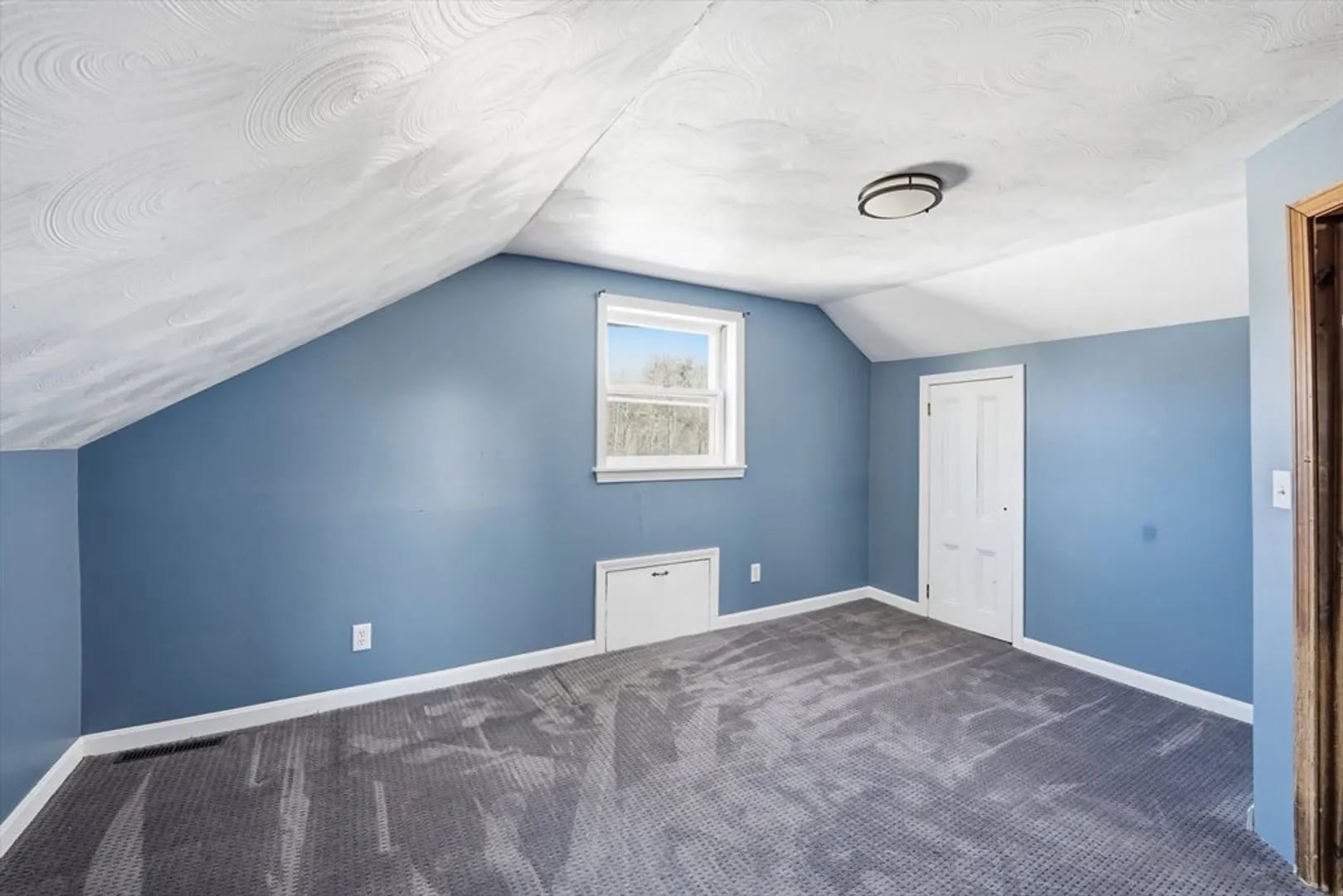 5 Torrey St Photo 18