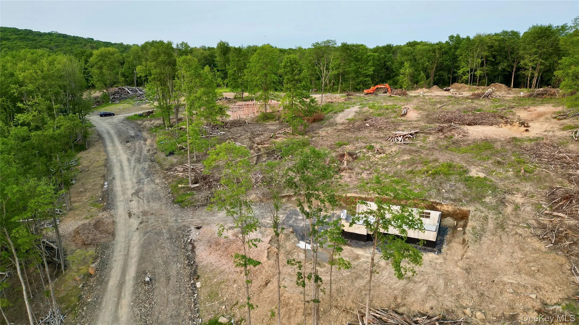 25 Tamarack Drive Photo 46