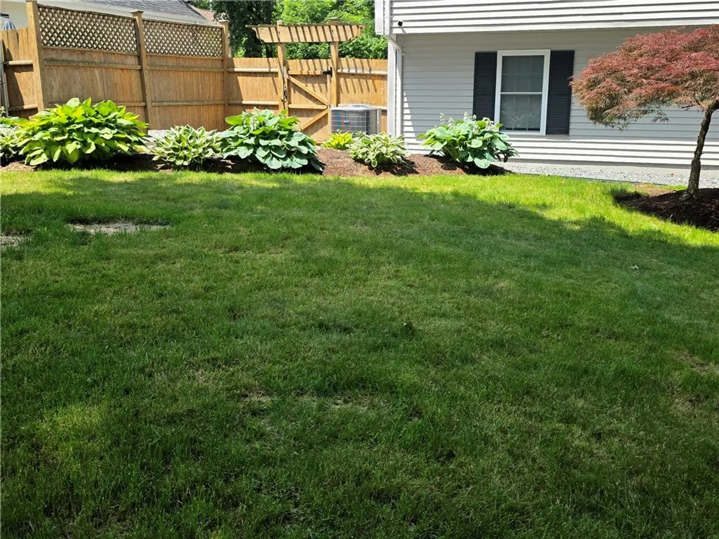 53 Herbert Street Photo 34