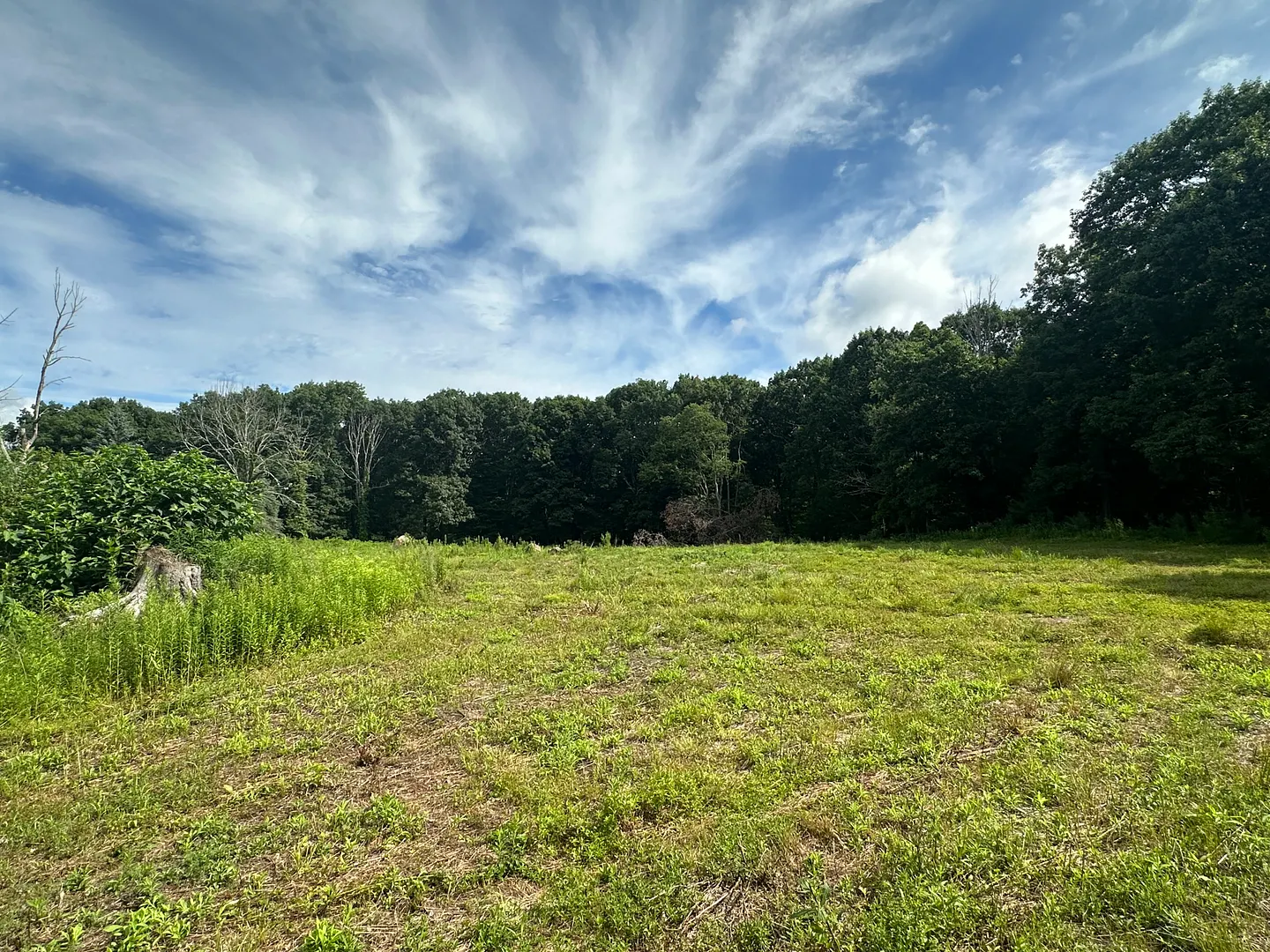 Morris Land Photo 2