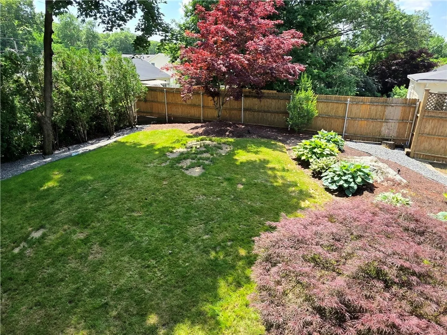 53 Herbert Street Photo 31