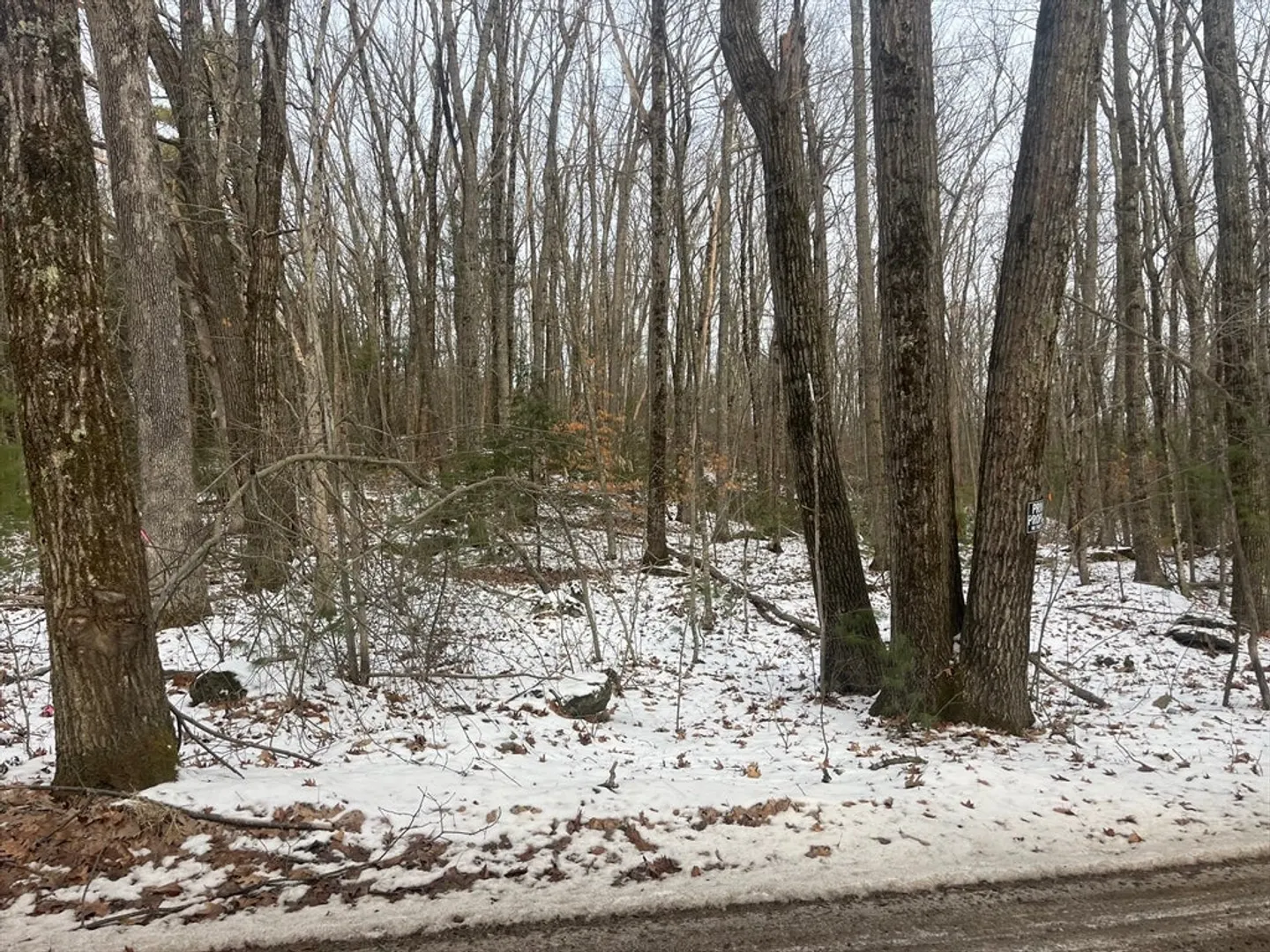 45b Irish Lane Photo 8