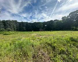 Morris Land