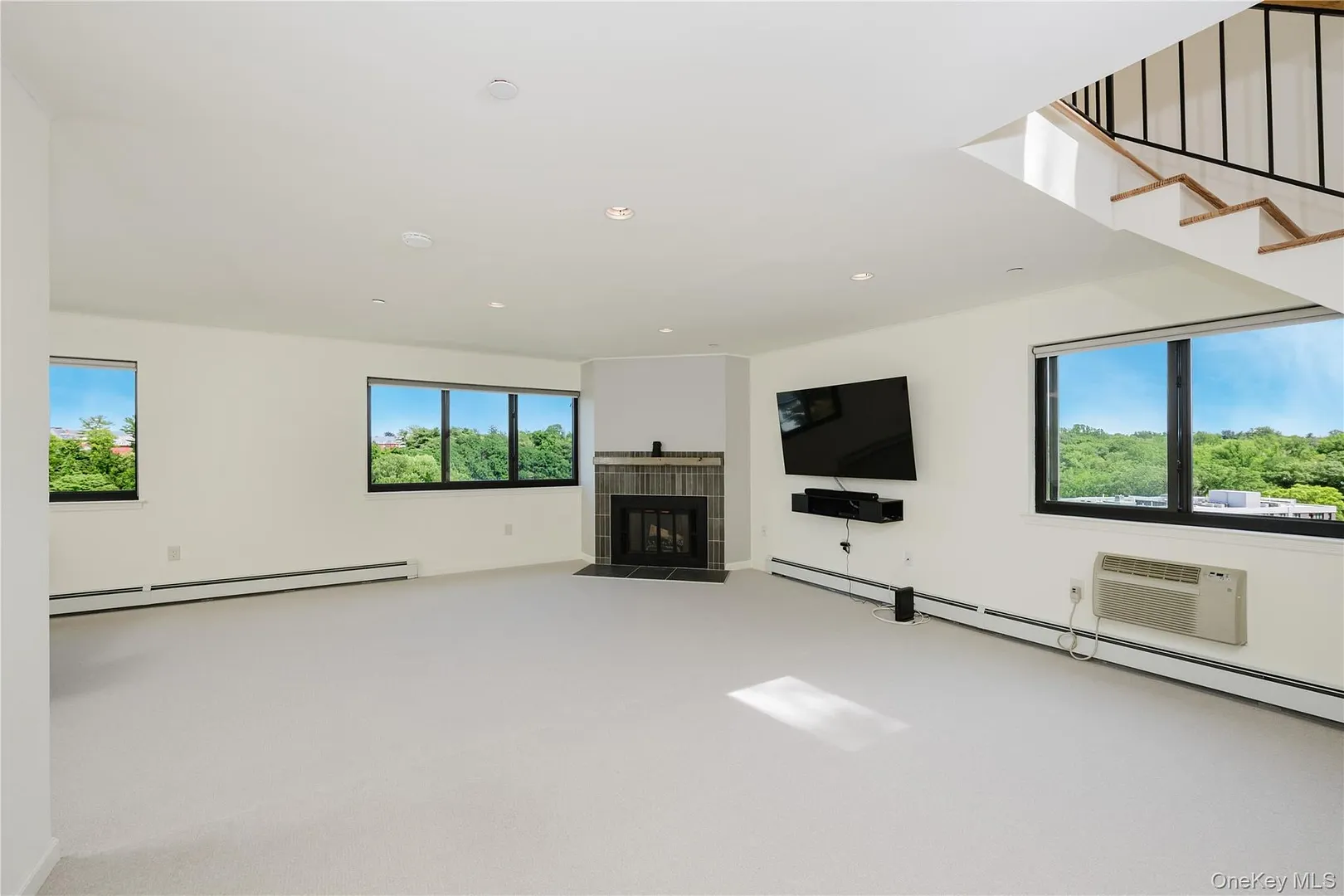50 Dekalb Avenue  #E10 Photo 6
