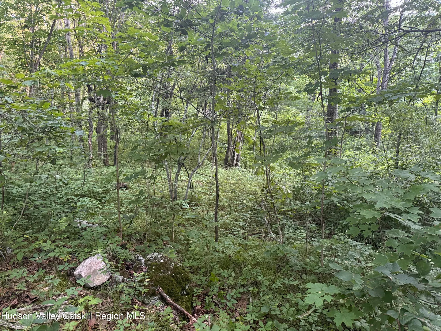 Lot 2 Snydertown Road Photo 17