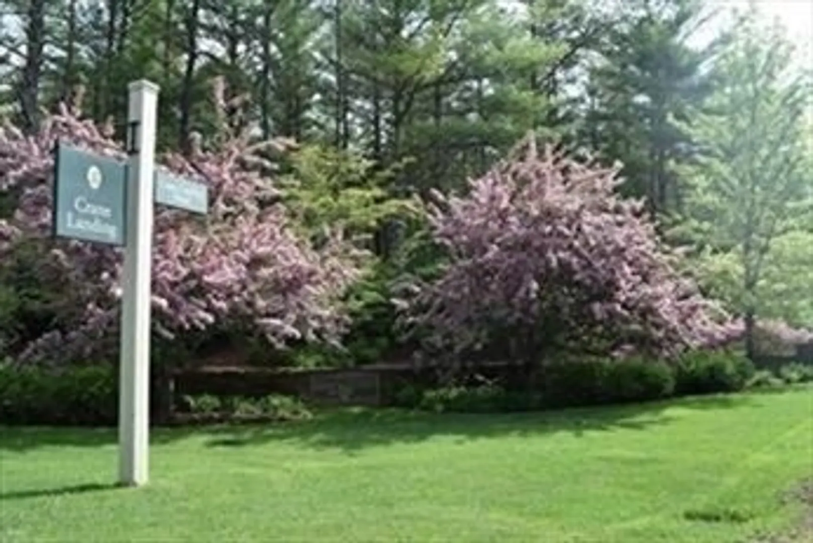 5 Pine Needle Ln Photo 30