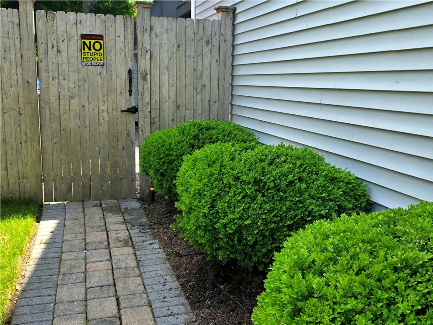 53 Herbert Street Photo 29