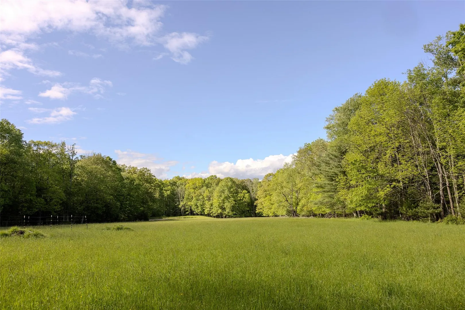 763 County Road 114 Photo 25