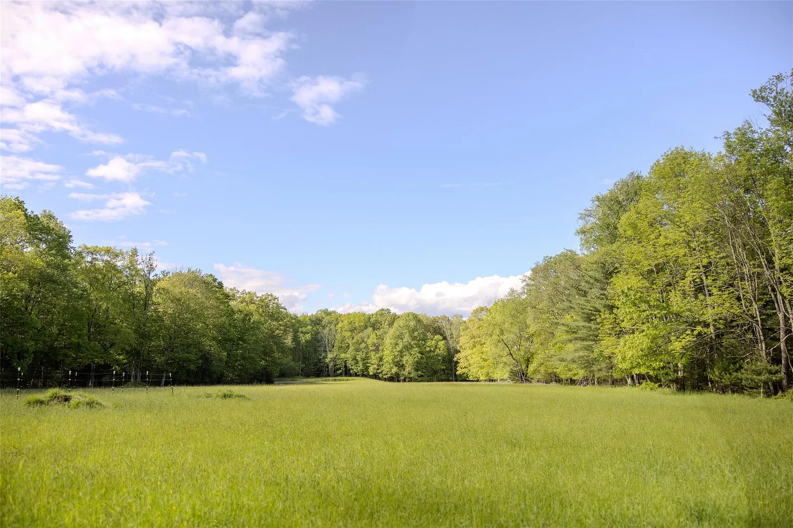 763 County Road 114 Photo 24