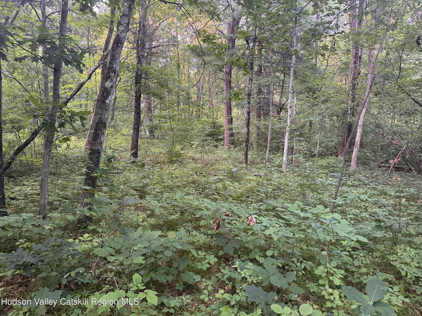 Lot 2 Snydertown Road Photo 19