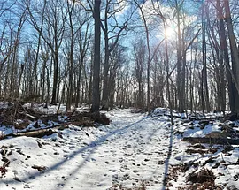 8 Maple Ridge Trail