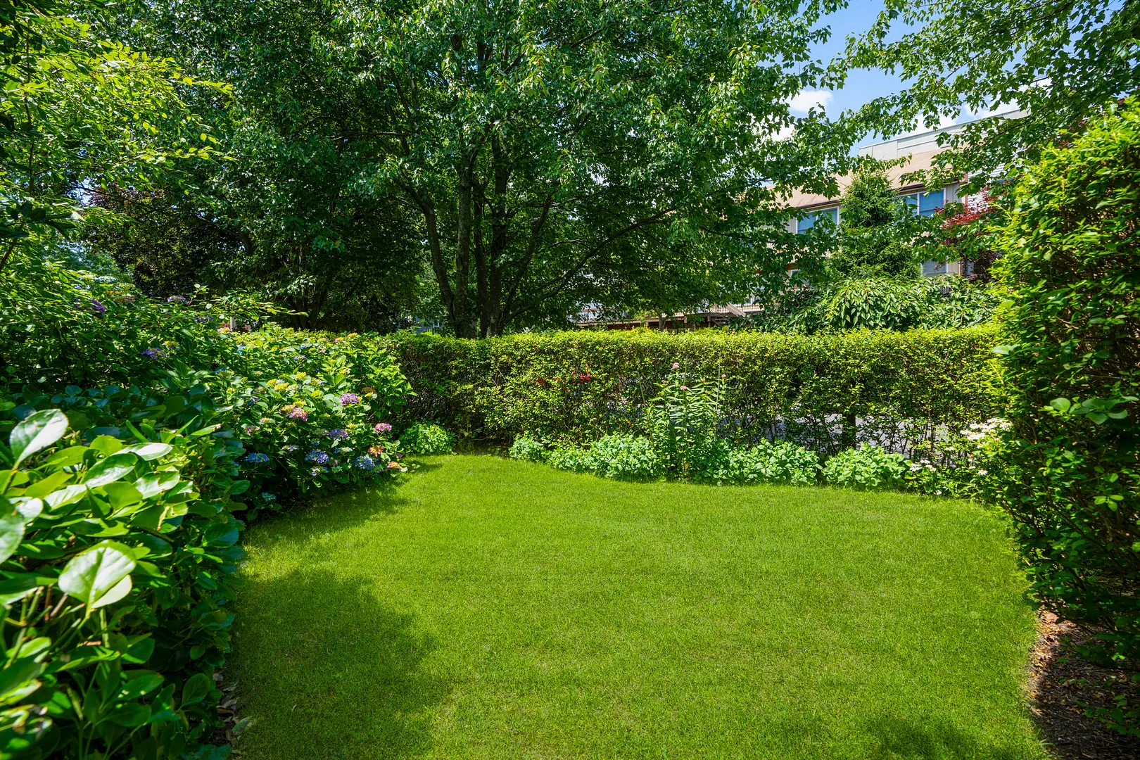 398 Cortlandt Avenue  #8 Photo 3