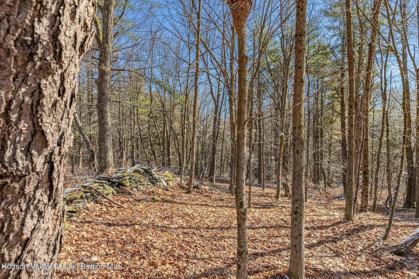 Lot 2 Snydertown Road Photo 3