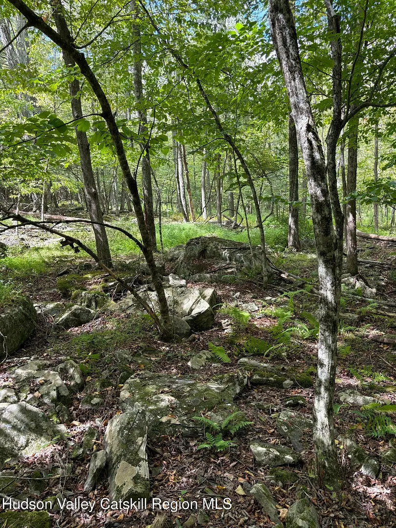 Tbd Oak Ridge Road Photo 2