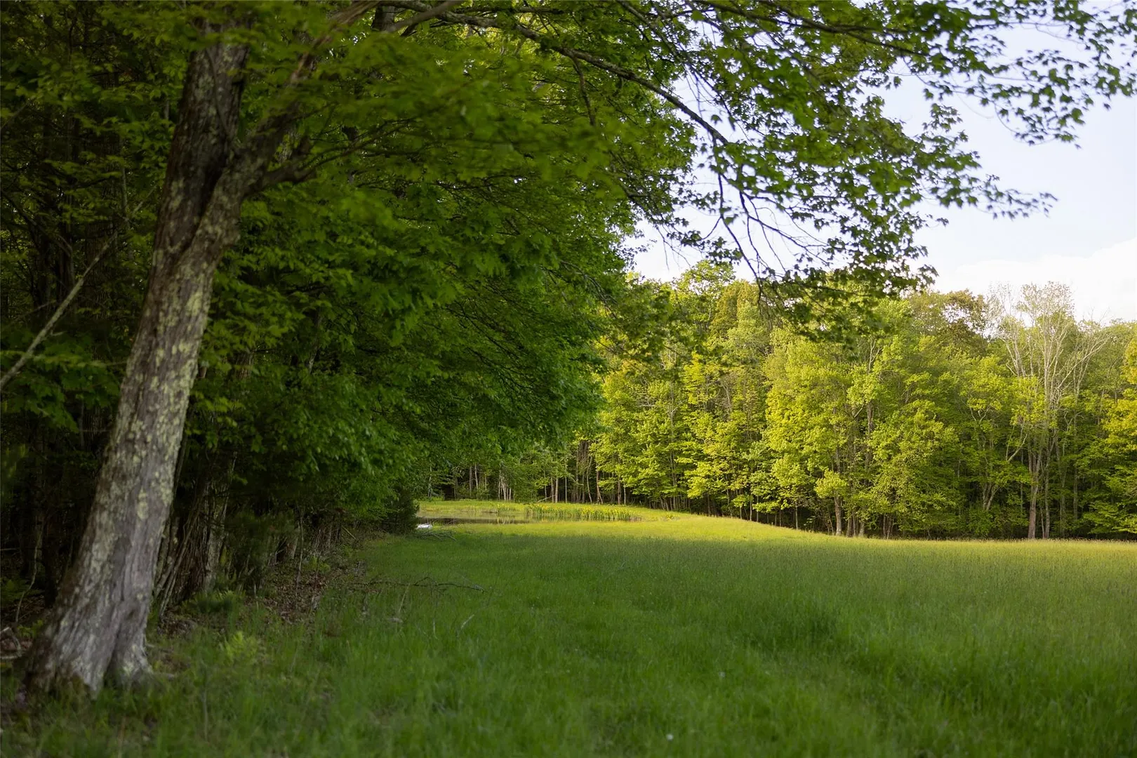 763 County Road 114 Photo 18