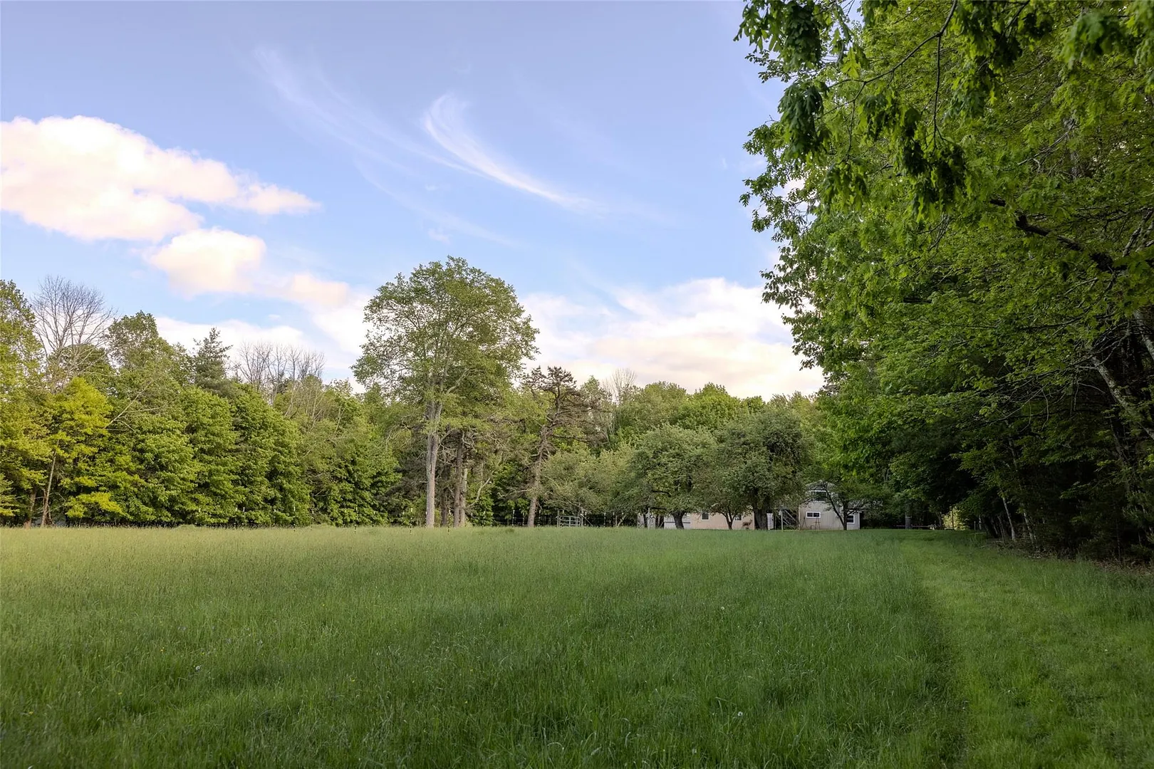 763 County Road 114 Photo 26