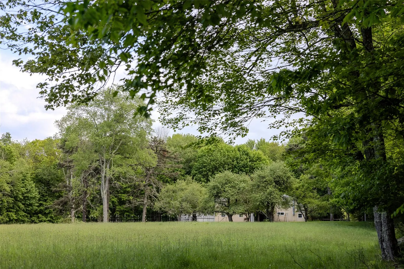 763 County Road 114 Photo 15