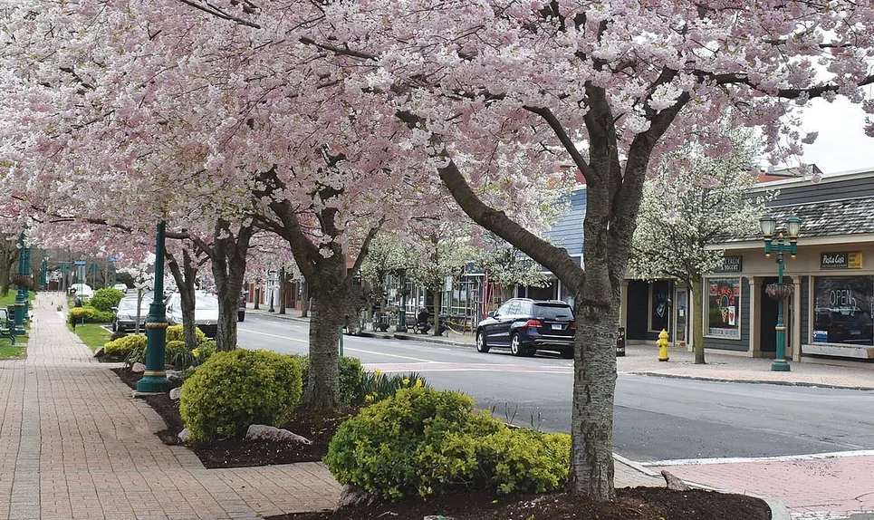 Branford>