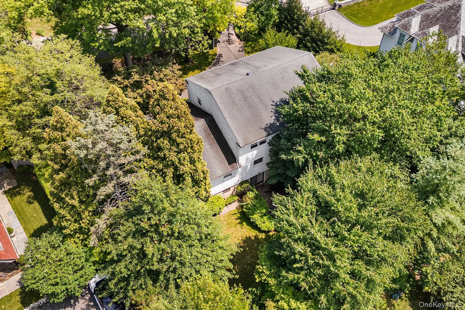 19 Carlton Road Photo 40