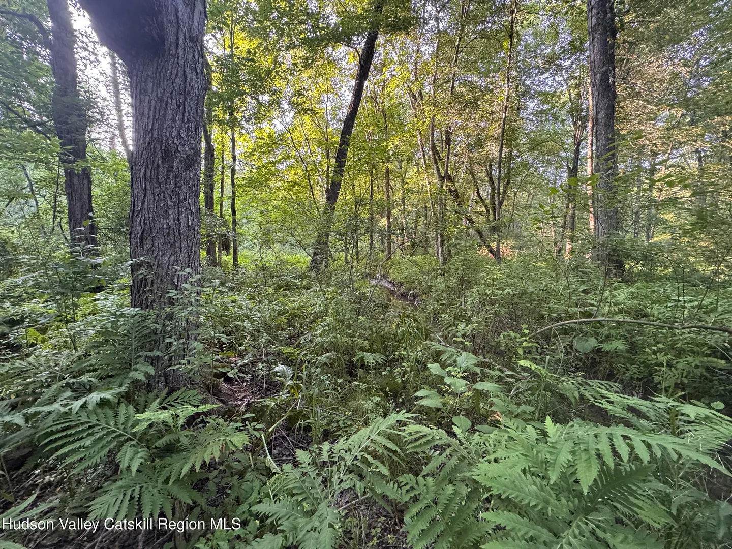 Lot 2 Snydertown Road Photo 21