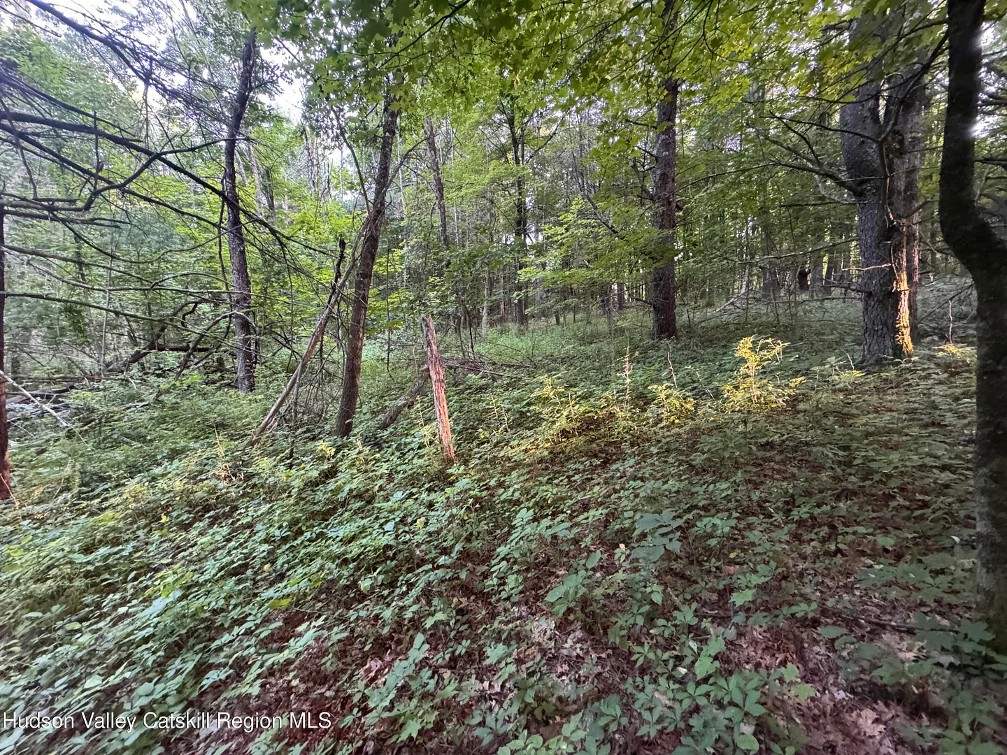 Lot 2 Snydertown Road Photo 11