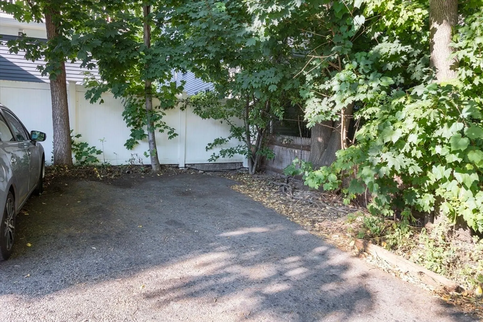 7 Elm St  #3 Photo 19