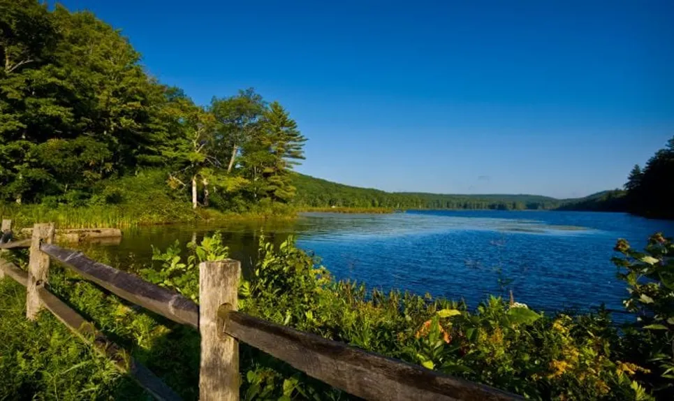 Colebrook>