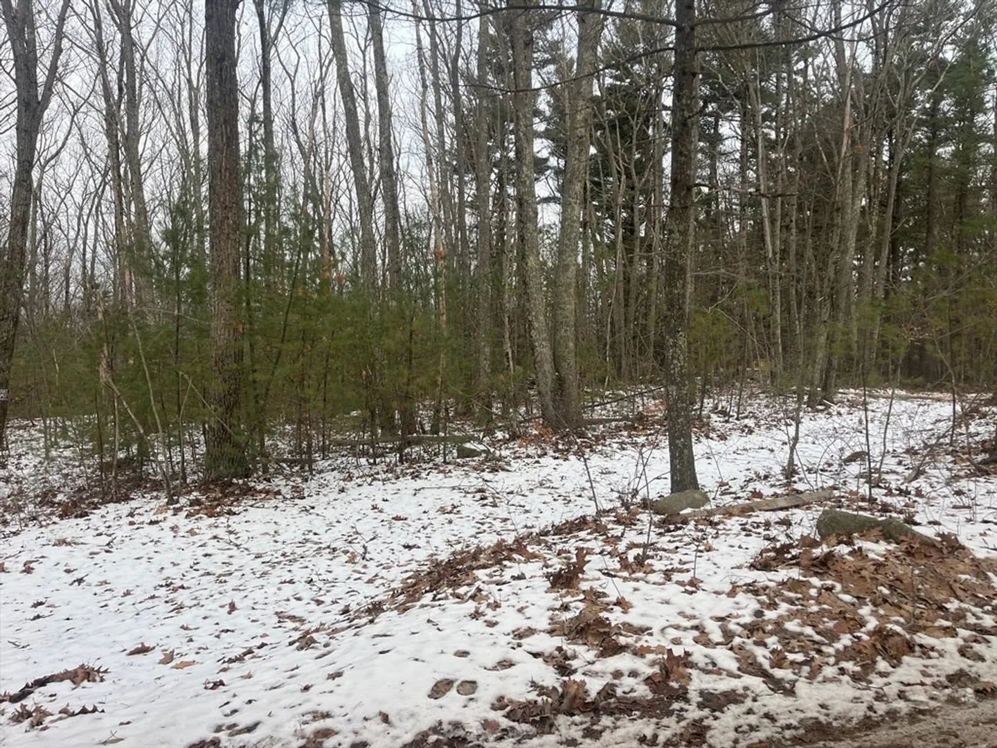 45b Irish Lane Photo 3