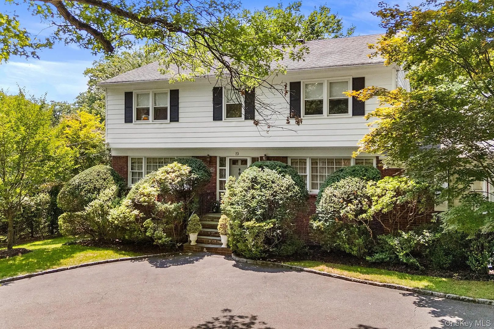 19 Carlton Road Photo 3